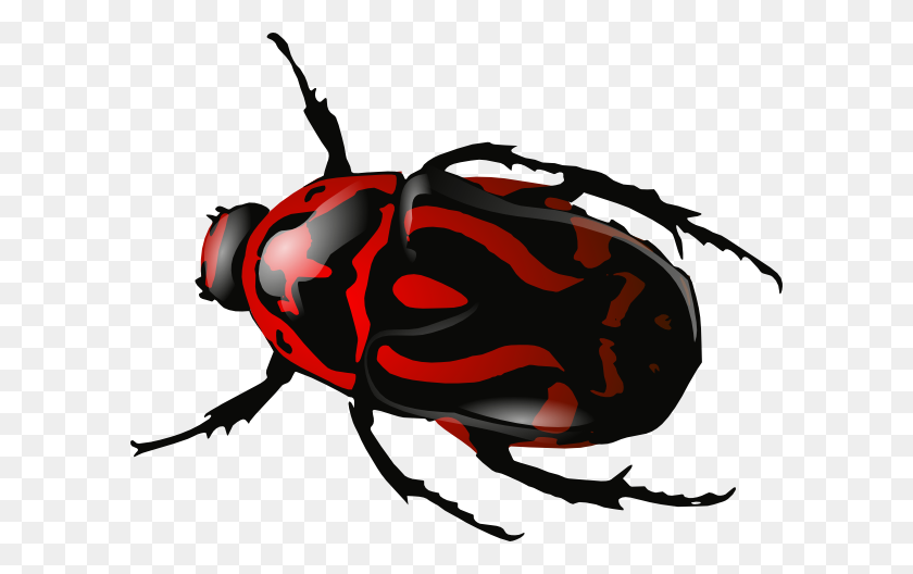 600x468 Imágenes Prediseñadas De Escarabajo Verde Srd - Imágenes Prediseñadas De Escarabajo
