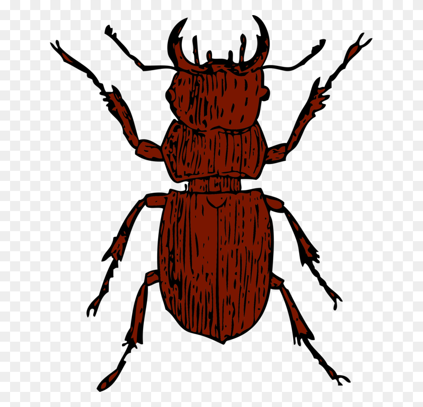 641x750 Ciervo Escarabajo Lucanini Dibujo De Artrópodos - Ciervo De Imágenes Prediseñadas