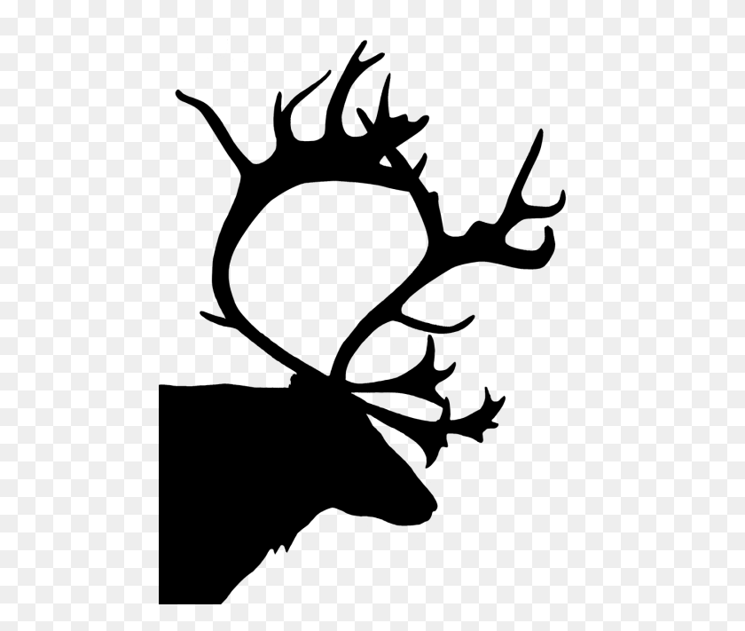 482x651 Stag Clipart Transparent Background - Antler Clipart Black And White