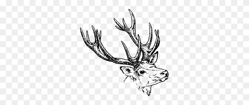 300x296 Stag Head Clip Art Free Vector - Deer Antlers Clipart