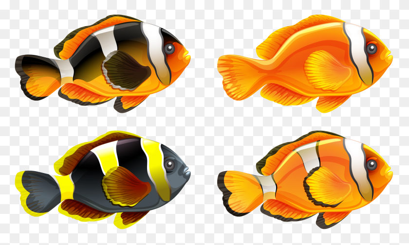 2560x1460 Stamps Fish, Fish Art And Goldfish - Trout Clipart
