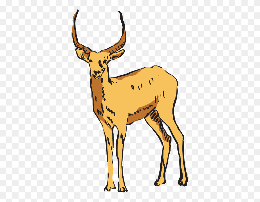 378x591 Standing Antelope Drawing Clip Art - Antelope Clipart