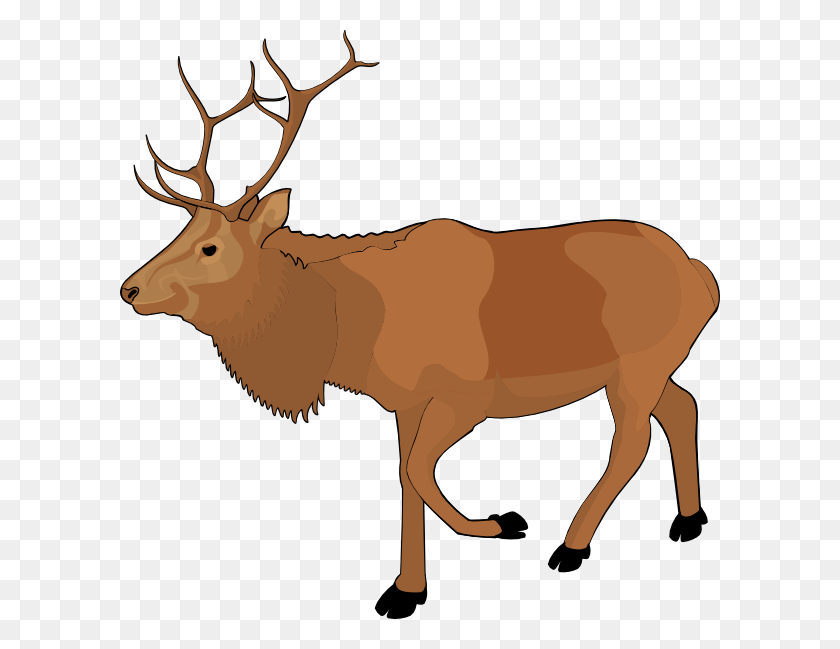 600x589 Standing Moose Clipart Png Image - Moose PNG