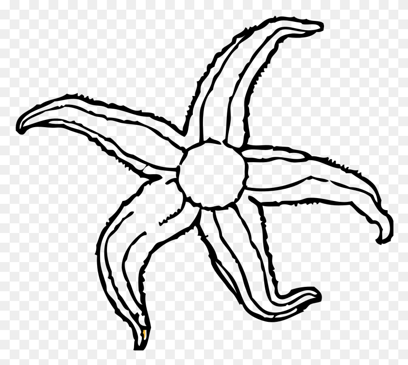 1969x1748 Starfish Clipart Coloring Book - Scared Clipart Black And White