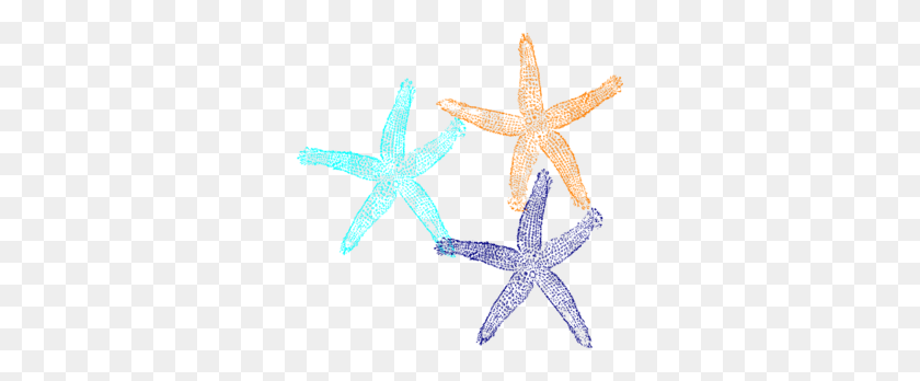 298x288 Starfish Cliparts Vector - Starfish Clipart Transparent Background