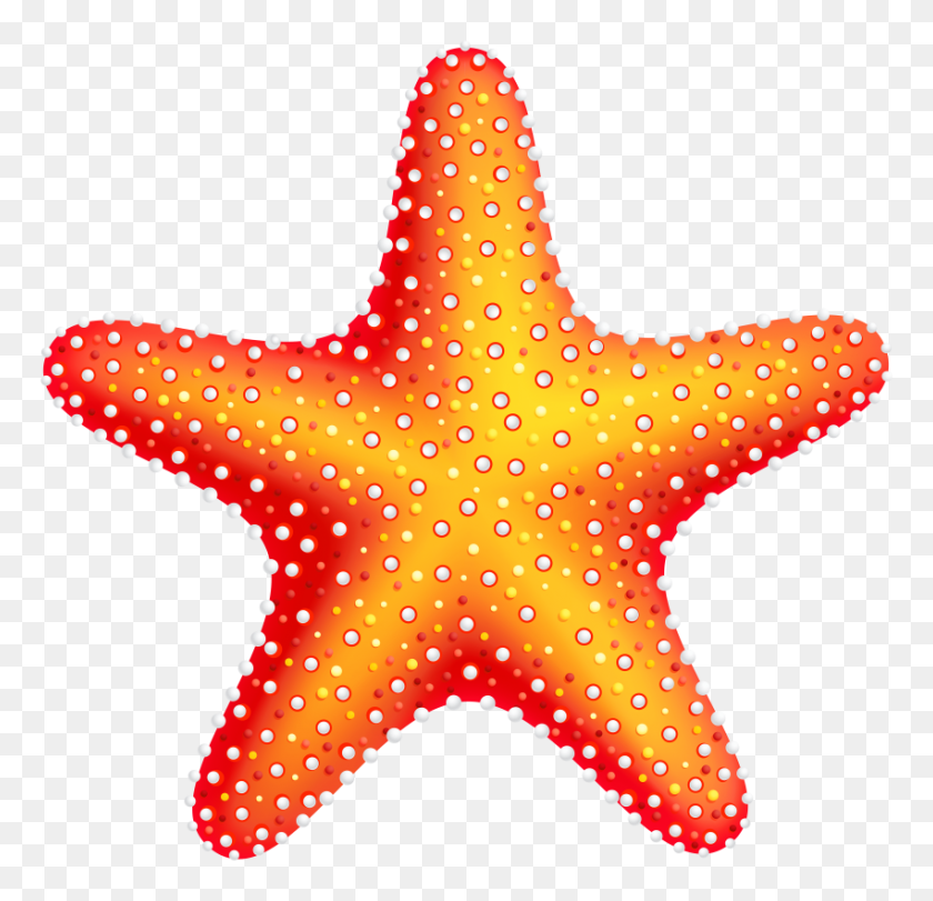 850x819 Морская Звезда Png - Звездная Рыба Png
