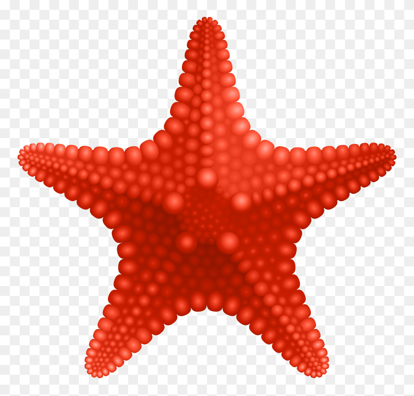 8000x7627 Starfish Png Clip Art - Starfish Clipart