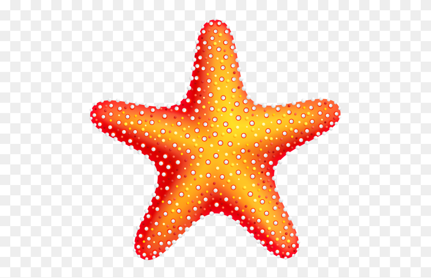 500x481 Estrella De Mar Png