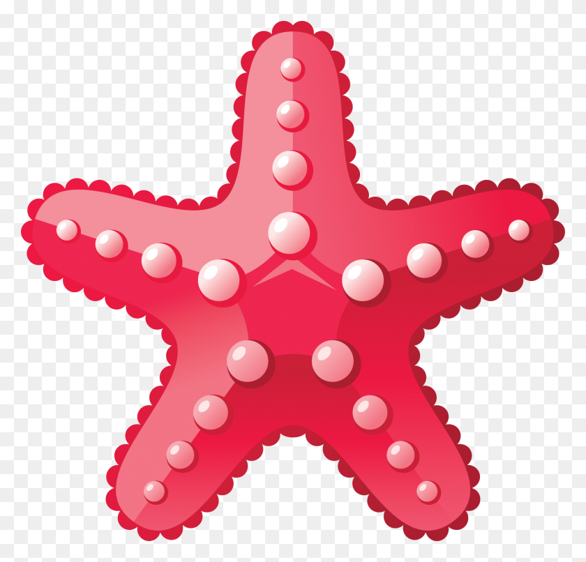 1751x1676 Starfish Png Images Free Download - Star Fish PNG