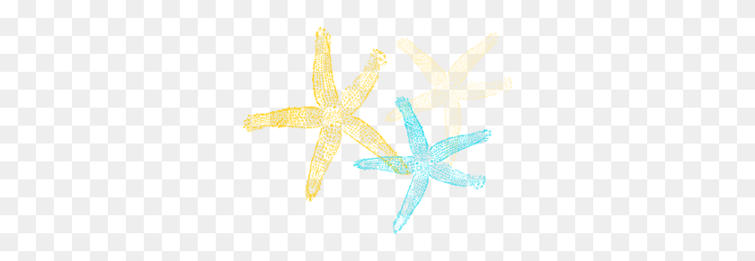 300x231 Starfish Prints Clip Art - Starfish Clipart Free