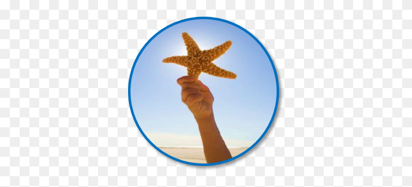 325x322 Starfish Retention Solutions - Star Fish PNG