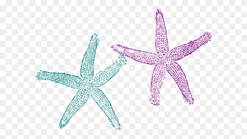 600x413 Морская Звезда Бирюзовый И Фиолетовый Клипарт - Морские Звезды Клипарт Клипарт