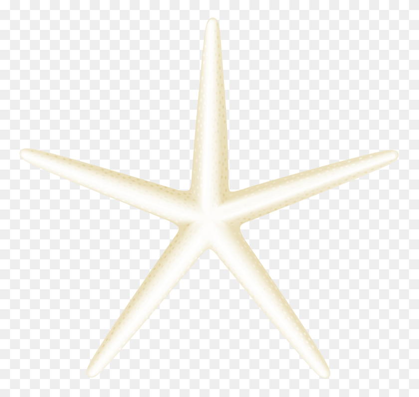 6000x5667 Png Морская Звезда Клипарт