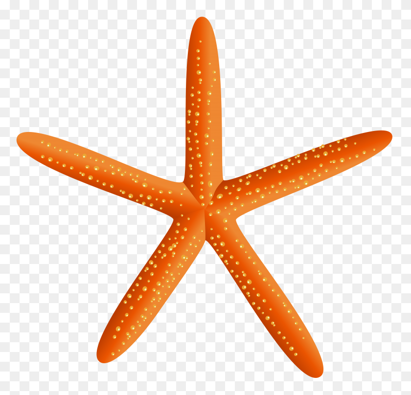 8000x7672 Starfish Transparent Png Clip Art - Starfish Clipart Free