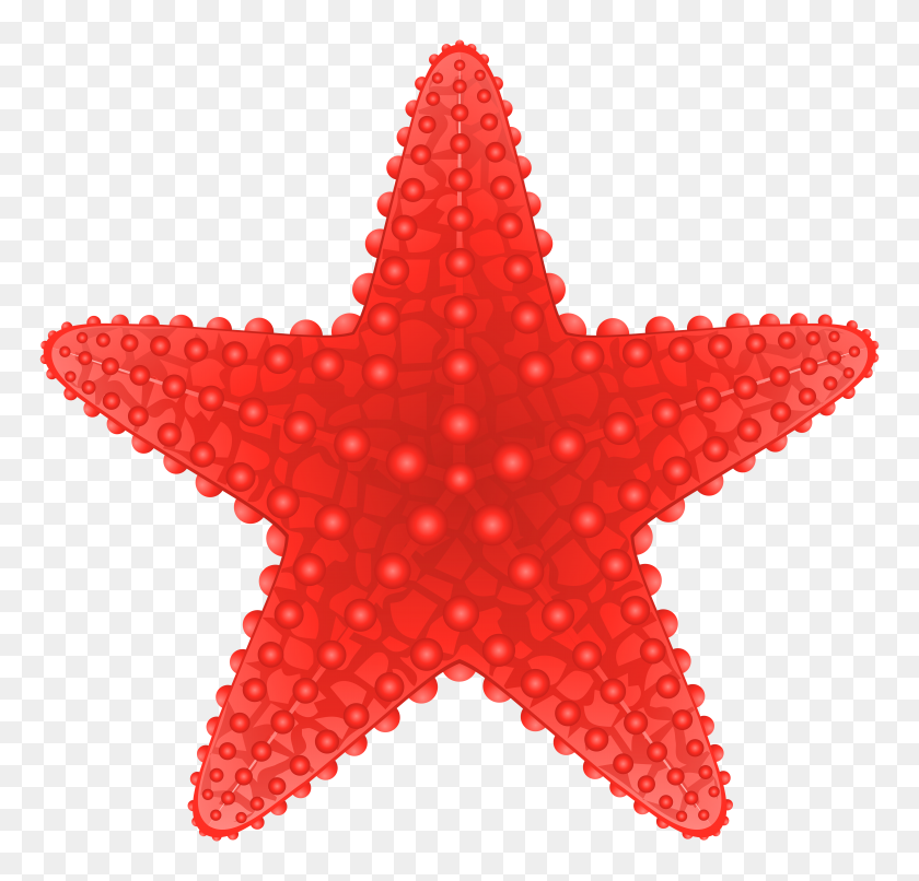 6000x5741 Png Морская Звезда Клипарт