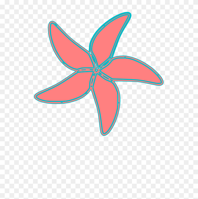 555x785 Starfish Transparent Png Pictures - Sea Star Clipart