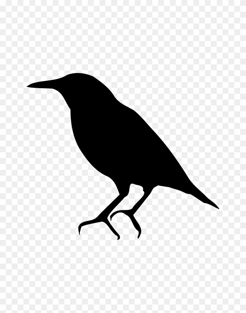 1855x2400 Starling Png Images Transparent Free Download - Speckles PNG