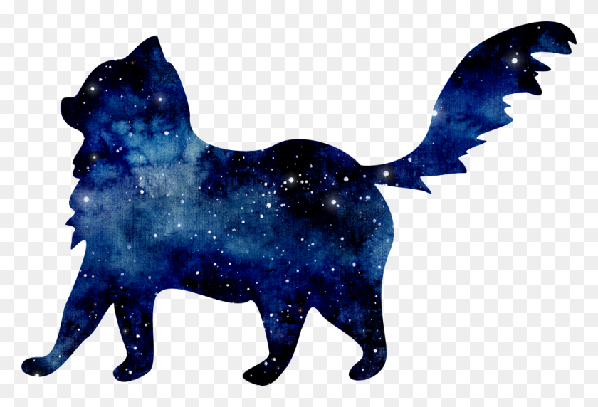 1024x673 Starry Blue Kitten Png Transparent Free Png Download Png Vector - Kitten PNG