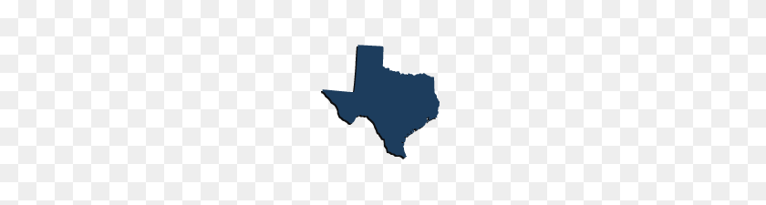 205x165 Perfiles De Intercambio Estatal De Texas La Fundación De La Familia Henry J Kaiser - Estado De Texas Png