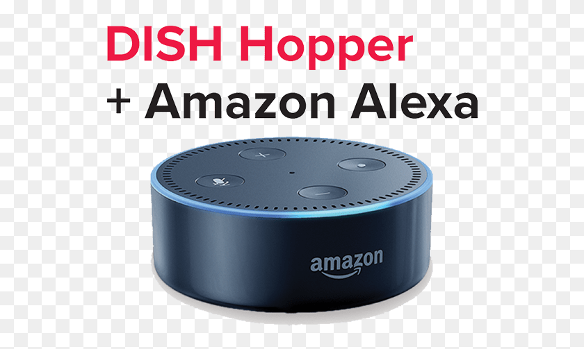 622x443 Stay Ahead Of The Entertainment Curve With Dish's Latest - Echo Dot PNG