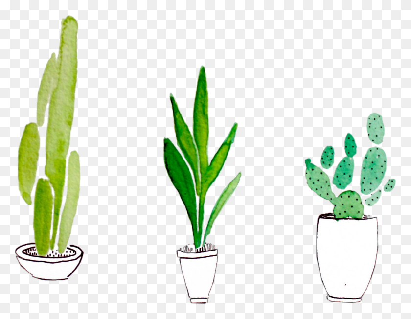 1088x827 Etiqueta Engomada De La Planta De Plantas De Cactus Verde Tumblr Png Estética - Tumblr Cactus Png