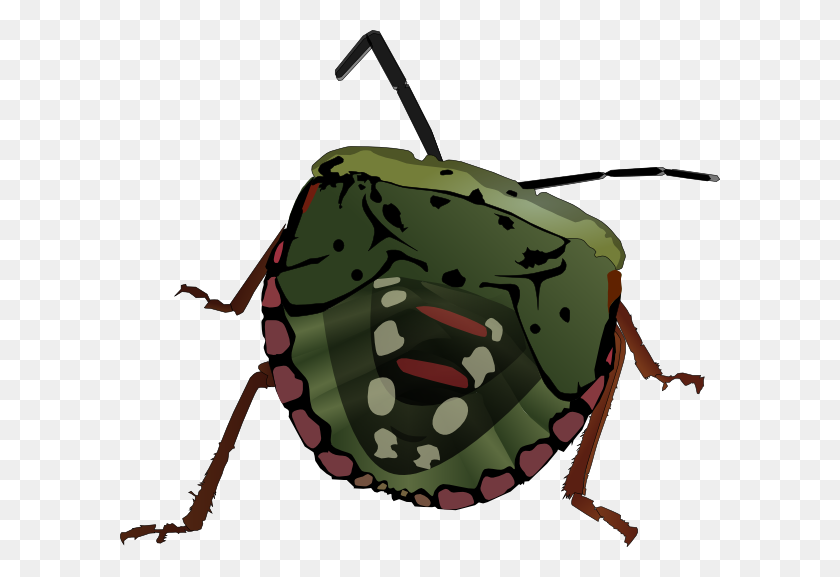 600x517 Stink Bug Clip Art - Cricket Bug Clipart