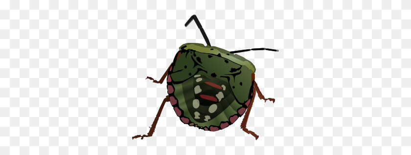 300x258 Stink Bug Png, Clip Art For Web - Bugle Clipart
