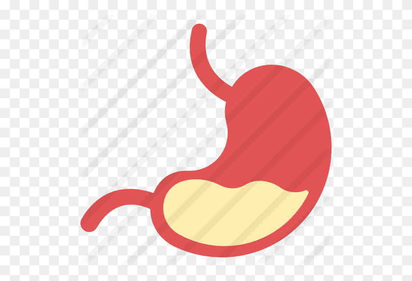 512x512 Stomach - Stomach PNG