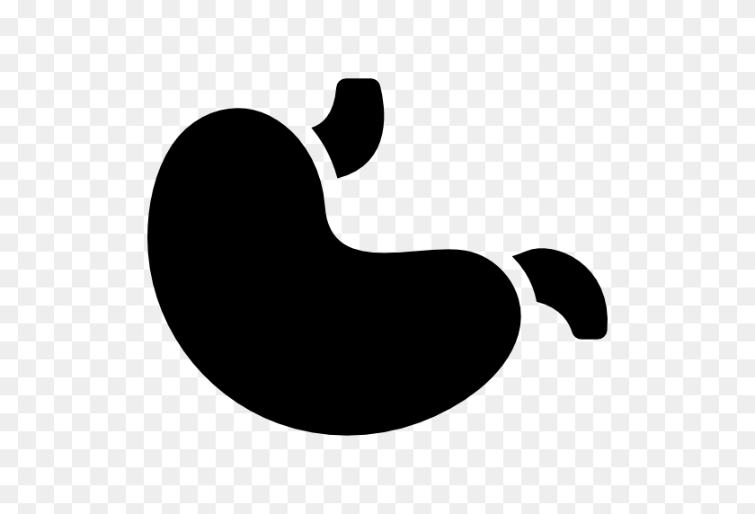 512x512 Stomach, Health, Medical, Digestion Icon - Digestion Clipart