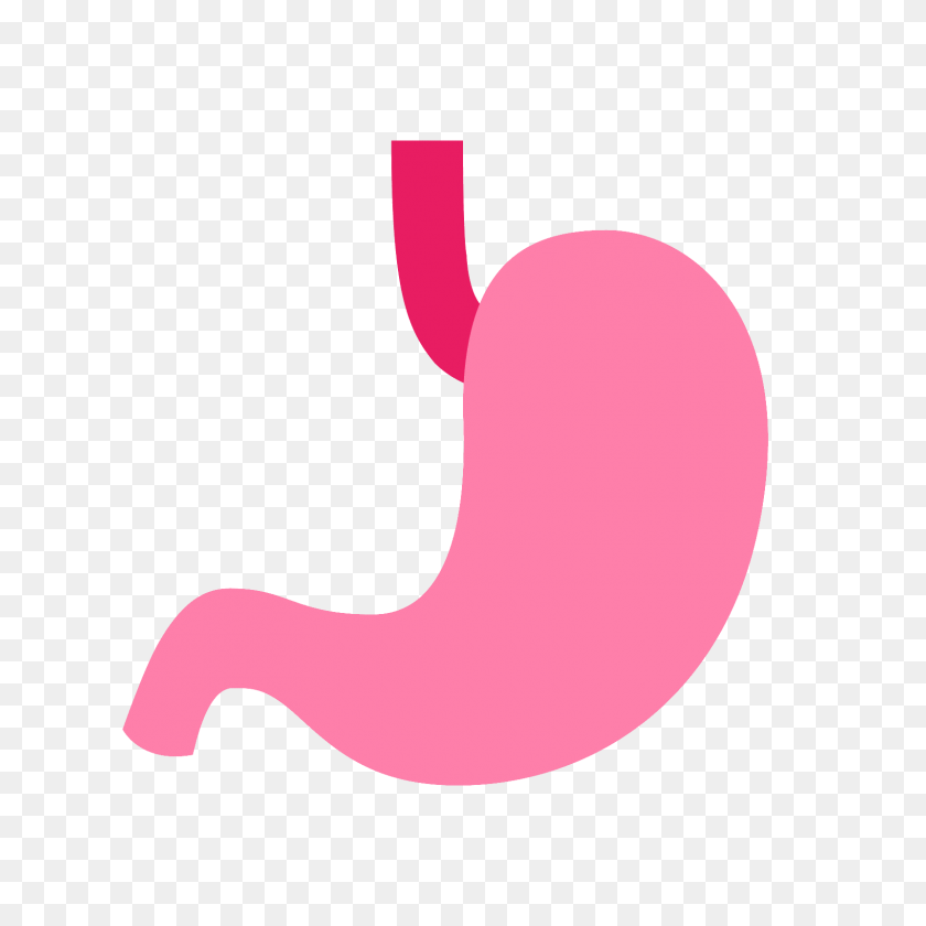 1600x1600 Stomach Icon - Stomach PNG
