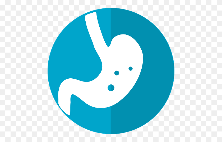480x480 Stomach Icon Wisconsin Office Of Rural Health - Stomach PNG