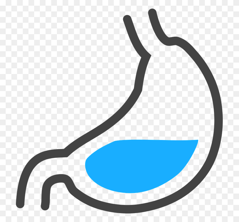 727x720 Stomach Png Hd Transparent Stomach Hd Images - Anatomy Clip Art