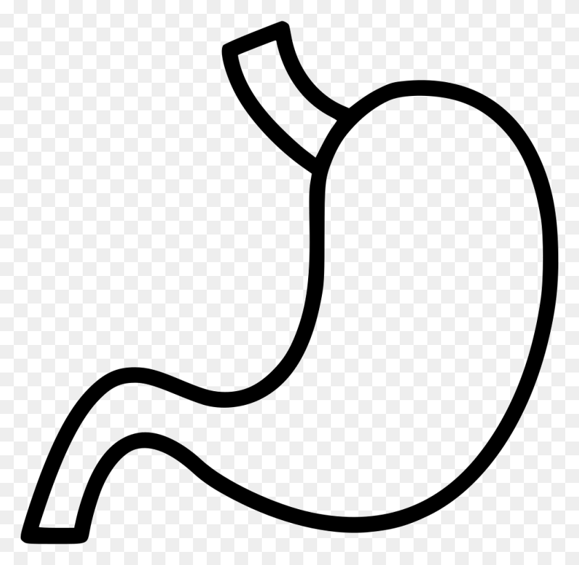 980x954 Stomach Png Icon Free Download - Stomach PNG