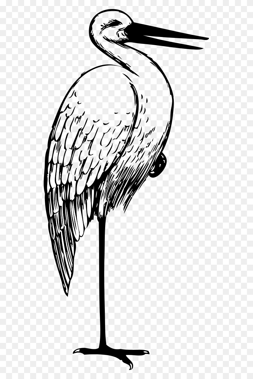 549x1200 Stork Clipart Head - Clipart Stork Carrying Baby