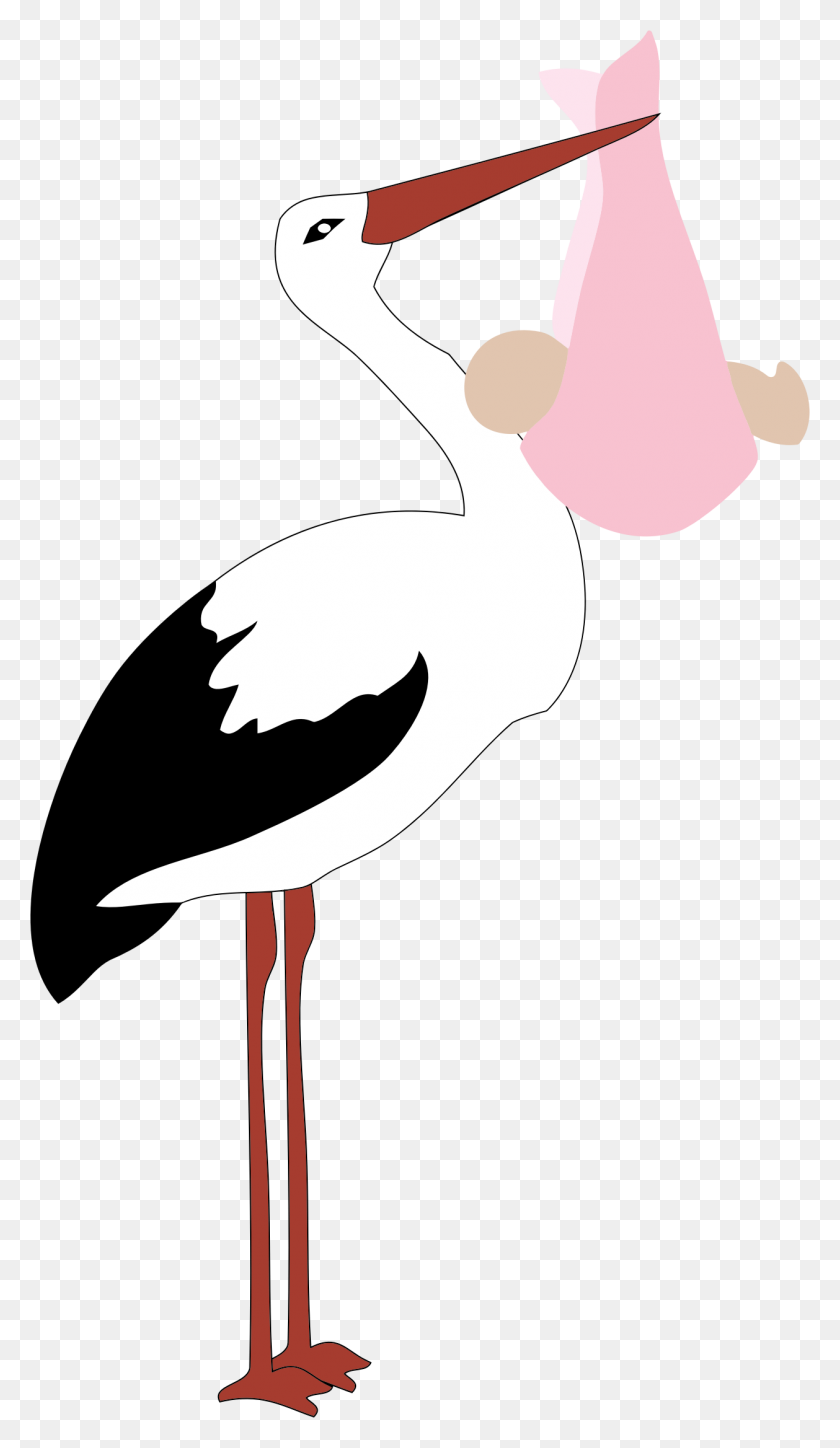 1258x2240 Stork Delivering Baby Girl Icons Png - Baby Girl PNG