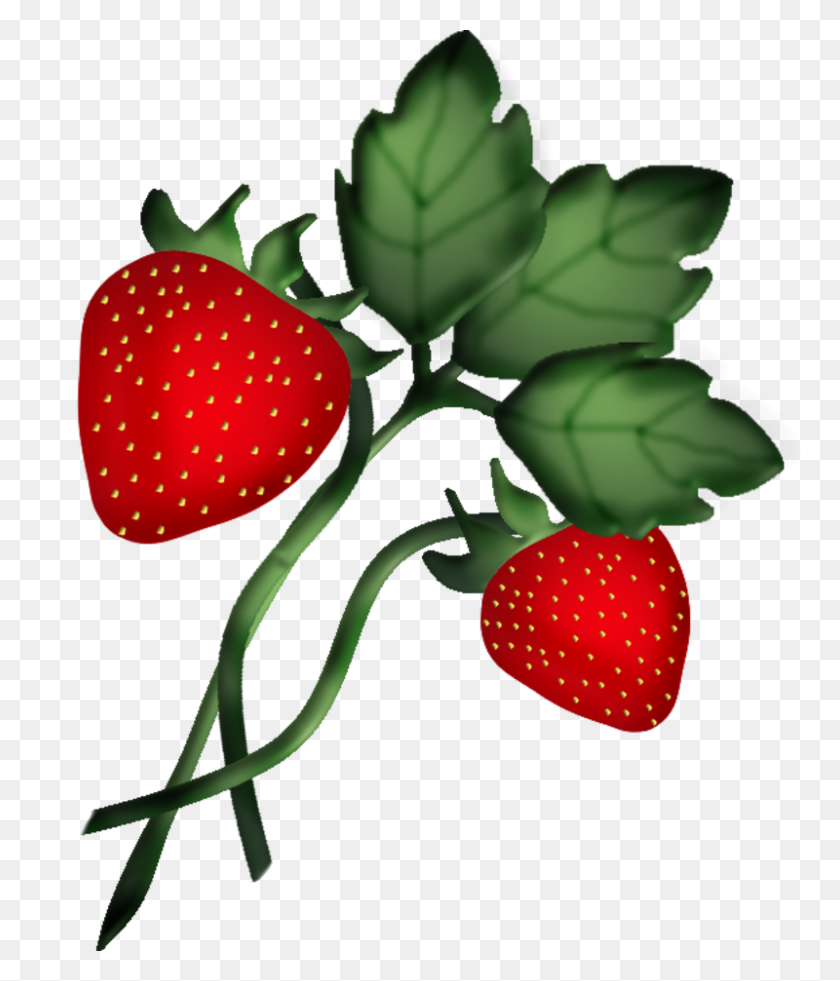800x945 Strawberries Clip Art Clip Art - Survival Kit Clipart