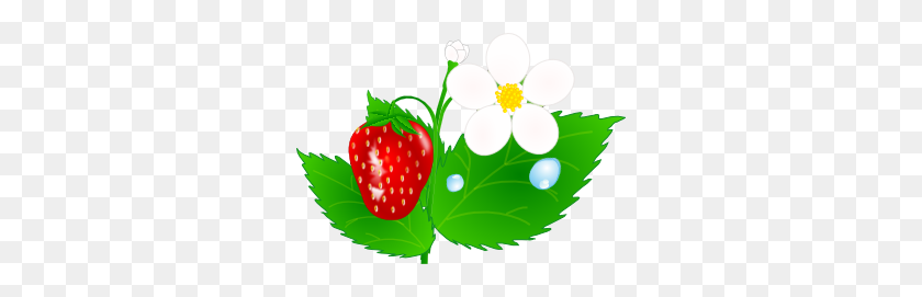 300x211 Strawberry Flower Jh Clip Art - Strawberry Plant Clipart