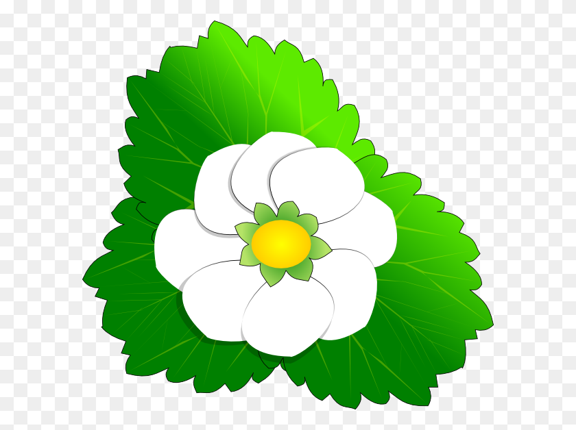 600x568 Strawberry Flower Png, Clip Art For Web - Wildflower Clipart