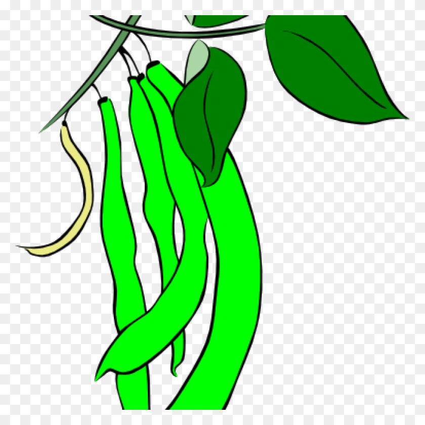 1024x1024 String Beans Clip Art Free Clipart Download - Sprout Clipart