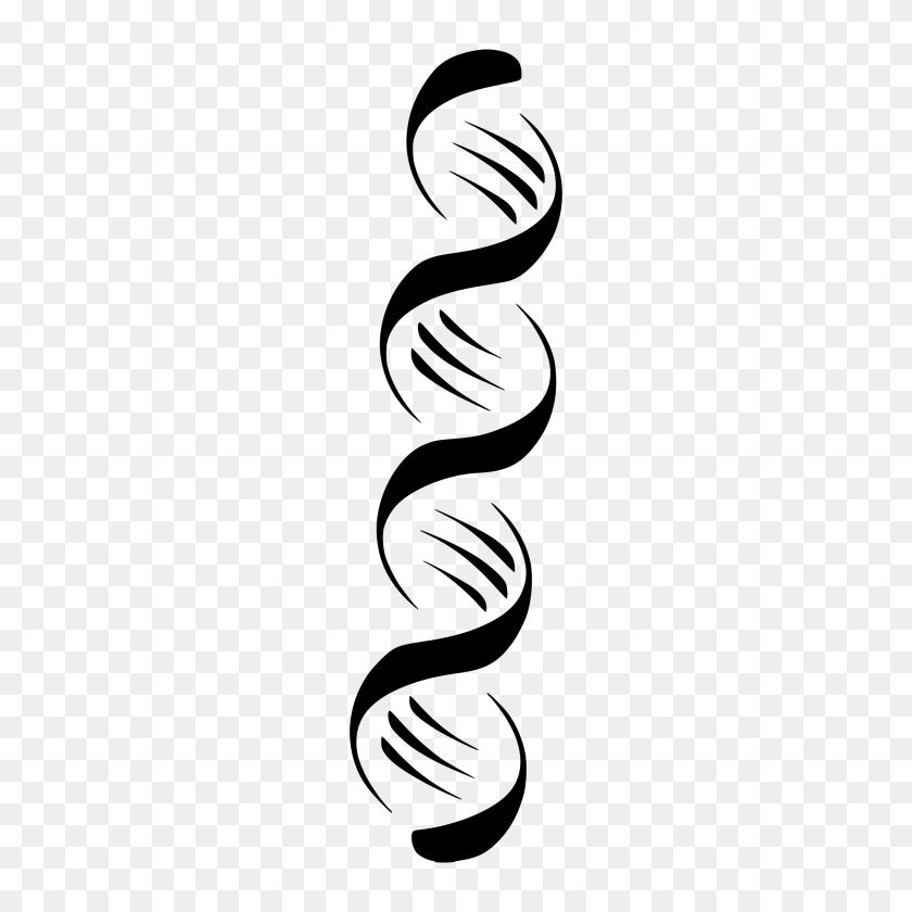 2400x2400 Stylized Dna Strand Icons Png - Dna Strand PNG