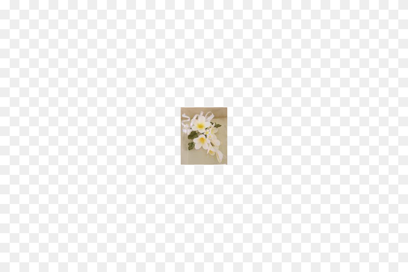500x500 Flores De Azúcar - Aliento De Bebé Png