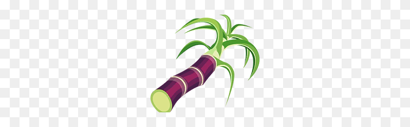 256x200 Suministros Png Png Image - Sugarcane Clipart