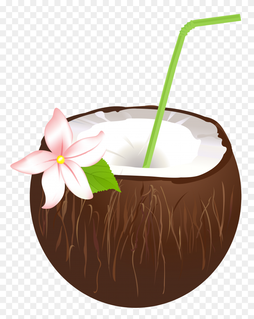 6278x8000 Summer Coconut Drink Png Clip Art - To Drink Clipart