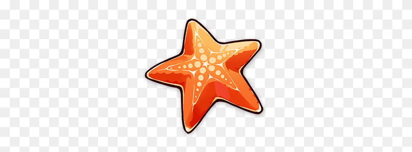256x251 Estrella De Mar De Verano - Estrella De Mar Png