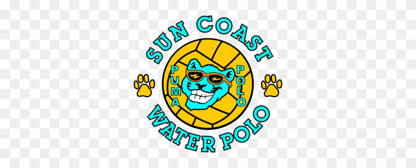 300x280 Sun Coast Water Polo Club Water Polo In Sarasota Venice - Water Polo Ball Clipart