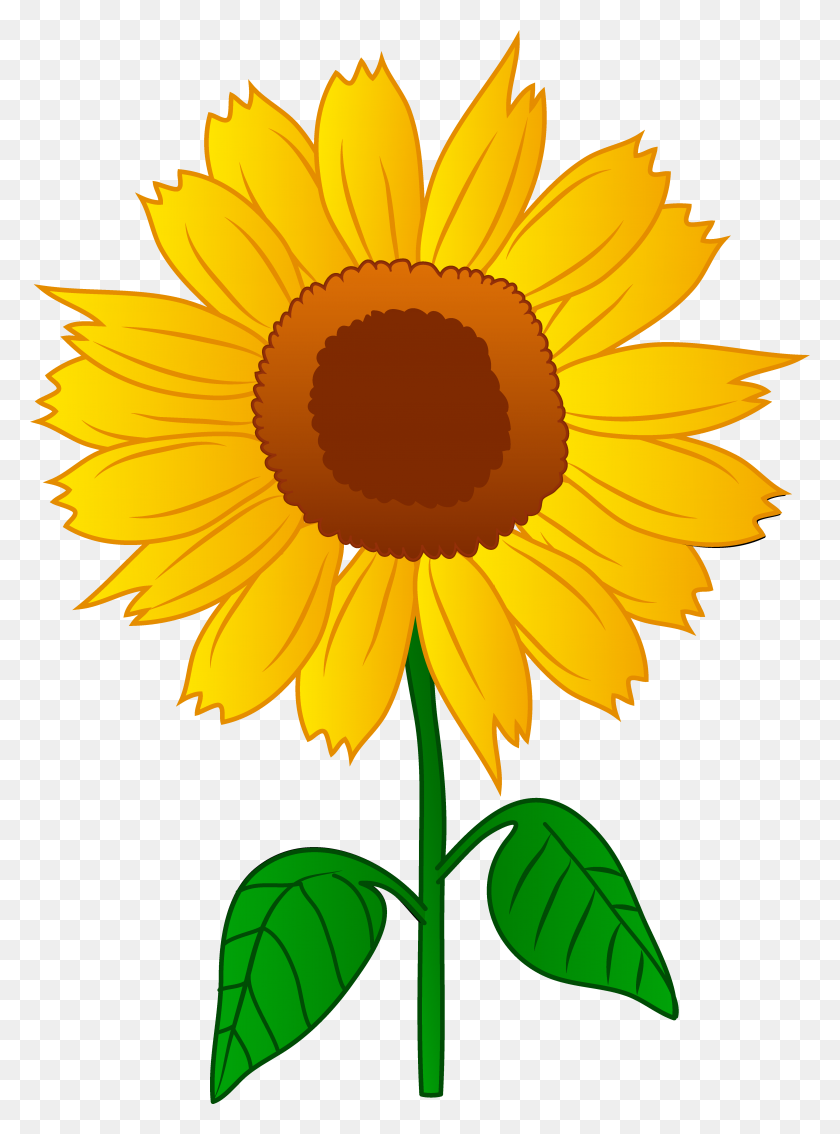 4909x6763 Sun Flower Clip Art - Flower Cartoon PNG