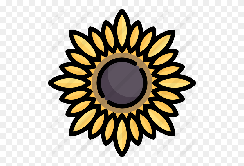 512x512 Sunflower - Sunflower Clipart Transparent