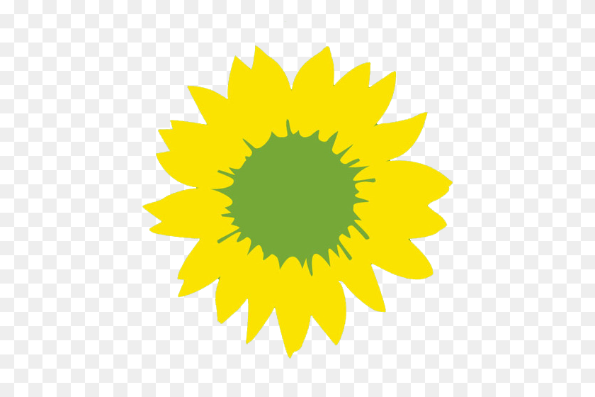 500x500 Sunflower - Sunflower PNG