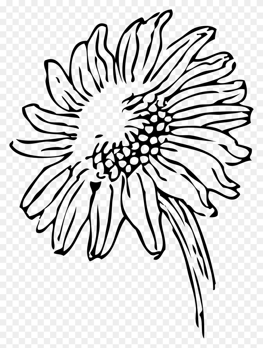 1969x2658 Sunflower Black And White Black And White Flower Border Free - Waffle Clipart Black And White