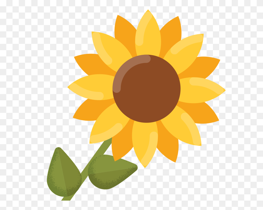 618x610 Sunflower Black And White Clip Art, Simple Flower Drawings Clip - Sunflower Clipart No Background